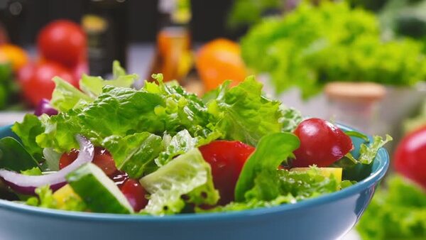 <b>精品柑橘苗果树（型号GM-103）</b>